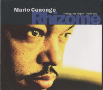 MARIO CANONGE Rhizome
